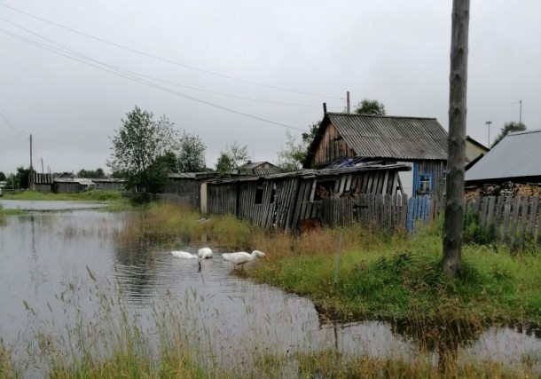 В Дутово после дождей подтопило несколько домов - bnkomi.ru - респ. Коми - район Вуктыльский