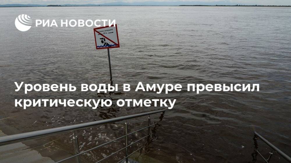 Уровень воды в Амуре превысил критическую отметку - ria.ru - Москва - Хабаровск - Комсомольск