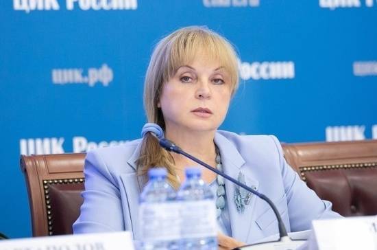 Элла Памфилова - Выборы показали развитие партийной системы - pnp.ru - Россия