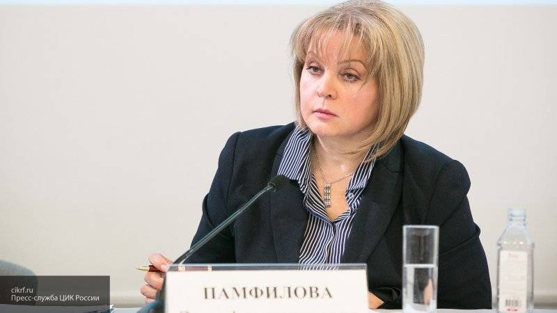 Элла Памфилова - Напавший на Эллу Памфилову признал вину в случившемся - nation-news.ru - Россия