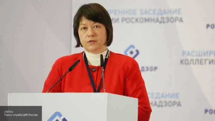 Майя Гришина - Более двух тысяч обращений было направлено в ЦИК по организации выборов - newinform.com - Россия