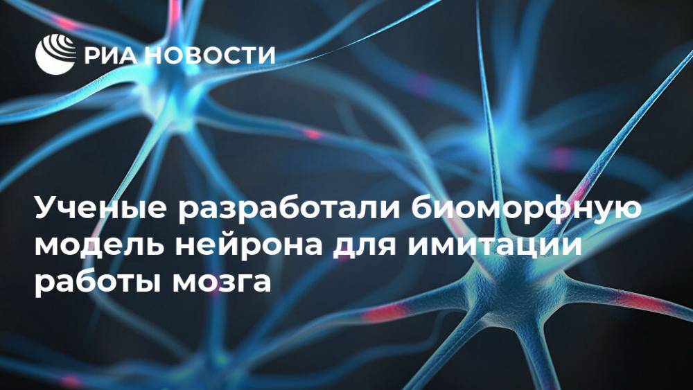 Ученые разработали биоморфную модель нейрона для имитации работы мозга - ria.ru - Москва - Тюмень