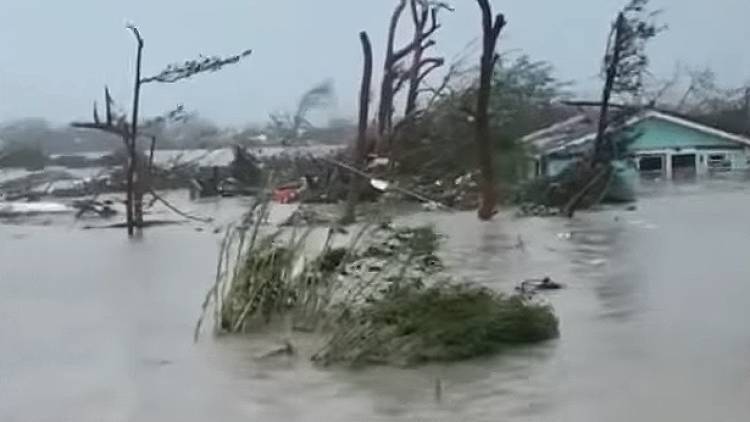 США выдадут жителям пострадавших от урагана Багамских островов визы - polit.info - США - Вашингтон - Нассау