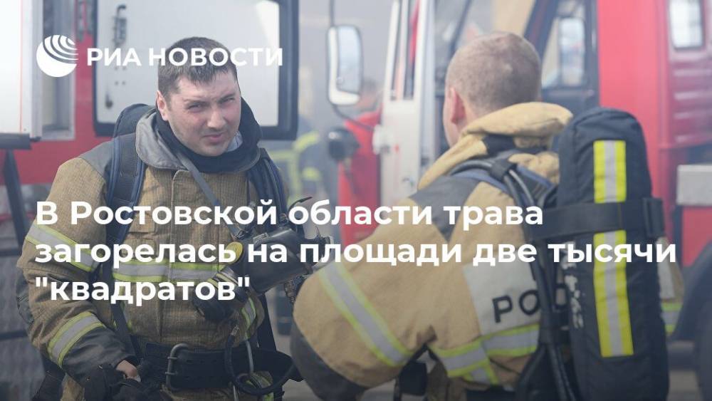 В Ростовской области трава загорелась на площади две тысячи "квадратов" - ria.ru - Россия - Ростов-На-Дону - Ростовская обл. - Батайск