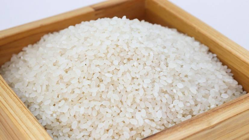 Россельхознадзор может запретить поставки риса из Вьетнама - russian.rt.com - Россия - Вьетнам