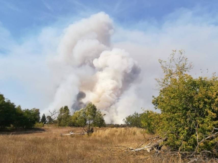В Чернобыльской зоне уже сутки тушат лесной пожар (Фото) - abcnews.com.ua - Киевская обл.
