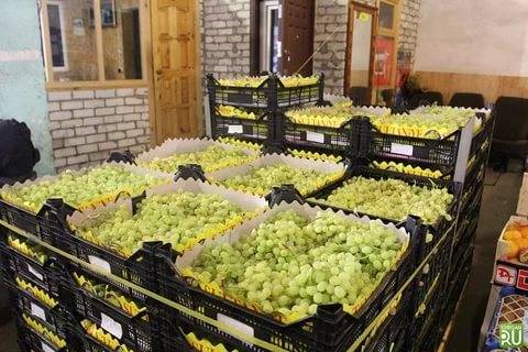 Около 200 кг винограда уничтожили в Удмуртии - gorodglazov.com - Кировская обл. - респ. Удмуртия