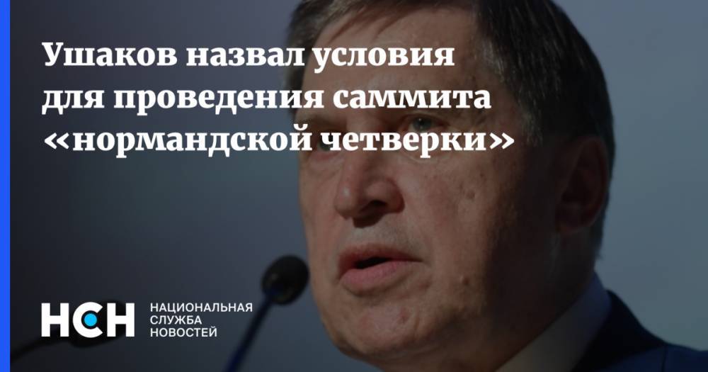 Юрий Ушаков - Ушаков назвал условия для проведения саммита «нормандской четверки» - nsn.fm - Россия - станица Луганская