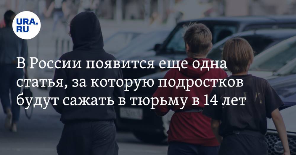 В России появится еще одна статья, за которую подростков будут сажать в тюрьму в 14 лет - ura.news