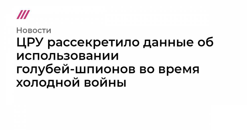 ЦРУ рассекретило данные об использовании голубей-шпионов во время холодной войны - tvrain.ru