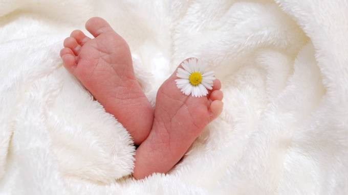Ученые из Хиросимы нашли способ зачатия ребенка желаемого пола - piter.tv
