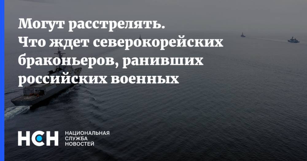 Андрей Климов - Могут расстрелять. Что ждет северокорейских браконьеров, ранивших российских военных - nsn.fm - Россия