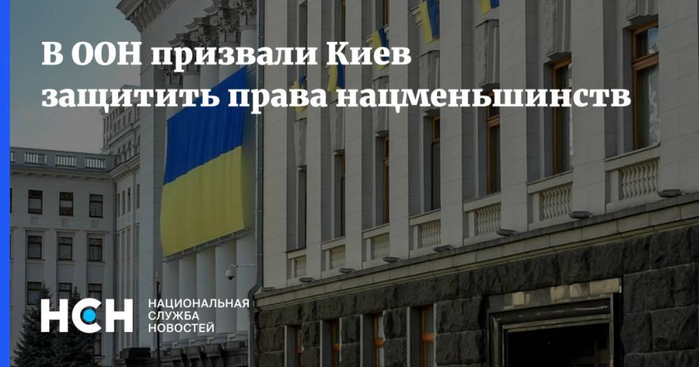 Матильда Богнер - В ООН призвали Киев защитить права нацменьшинств - nsn.fm - Украина - Киев
