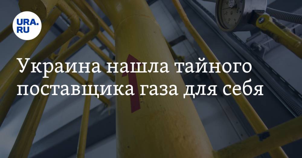 Андрей Фаворов - Украина нашла тайного поставщика газа для себя - ura.news - Россия - Украина