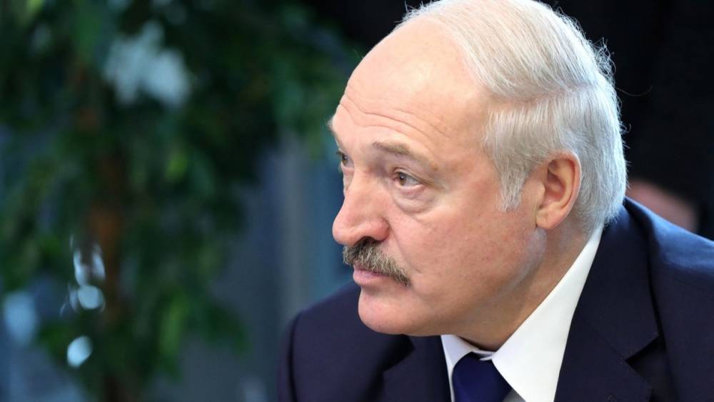Александр Лукашенко - Дэвид Хейл - Лукашенко заявил о невозможности урегулирования конфликта в Донбассе без США - riafan.ru - США - Украина - Белоруссия - Минск