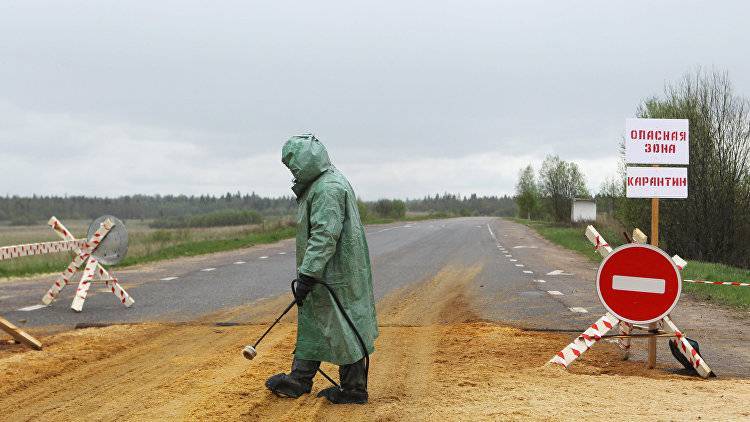 Сергей Аксенов - В Крыму ввели карантин из-за напавшего на людей бешеного волка - crimea.ria.ru - Крым - Симферополь - район Симферопольский