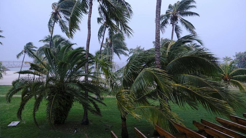 Испытание "Дорианом": Багамы встретили ураган - ru.euronews.com - США - шт. Южная Каролина - шт.Флорида - шт. Джорджия
