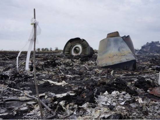 Йозеф Реш - Детектив из ФРГ пообещал назвать виновного в гибели MH17 - newtvnews.ru - Германия - Голландия - Малайзия