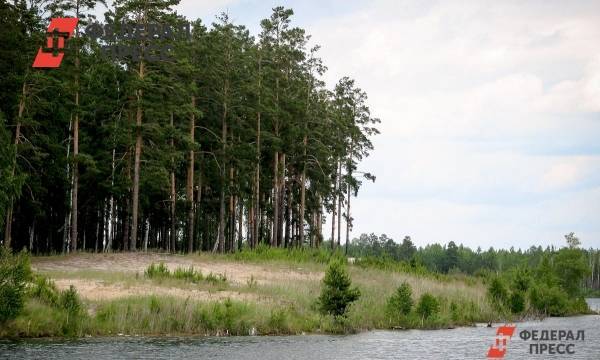 Глеб Никитин - Нижегородская область планирует вовлечь в оборот 400 тысяч гектаров леса - fedpress.ru - Россия - Нижегородская обл. - Нижний Новгород