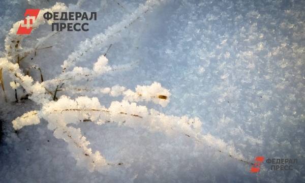 Росгидромет рассказал, какой будет зима в регионах «тюменской матрешки» - fedpress.ru - Россия - Тюмень
