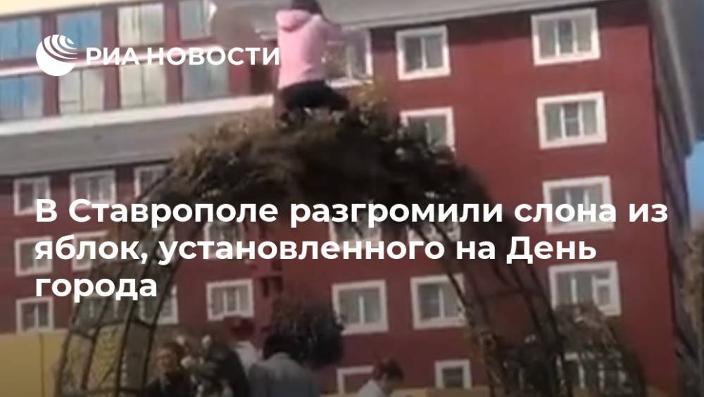 В Ставрополе разгромили слона из яблок, установленного на День города - ria.ru - Москва