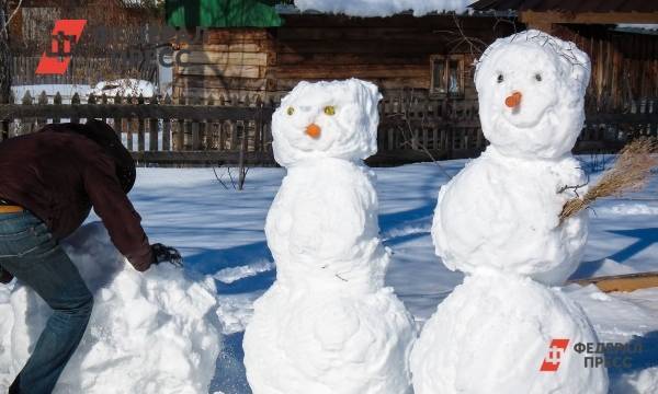 Первый снег в Башкирии обещают на следующей неделе - fedpress.ru - Башкирия - Уфа