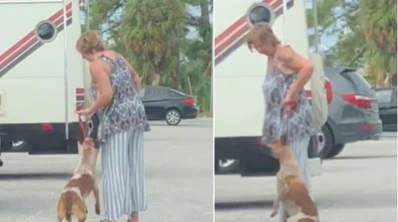 Вирусное видео, на котором женщина бьет и почти душит собаку, помогло найти и арестовать обидчицу животного - usa.one - США - шт.Флорида