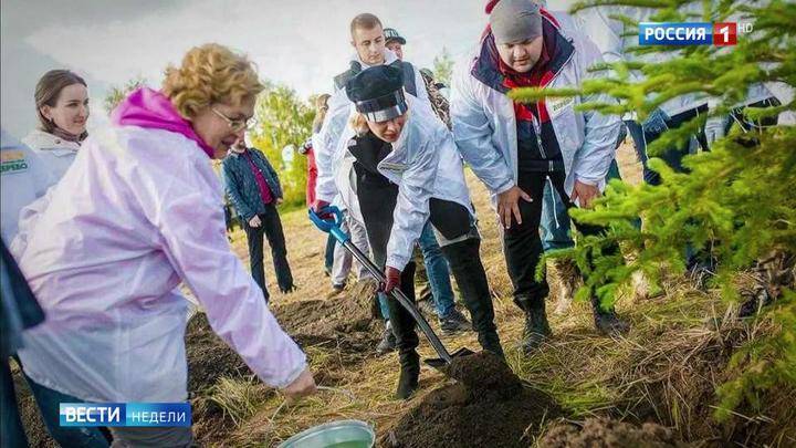 Мария Захарова - "Сохраним лес": к трем миллионам россиян присоединились знаменитости - vesti.ru - Россия - Московская обл. - Солнечногорск