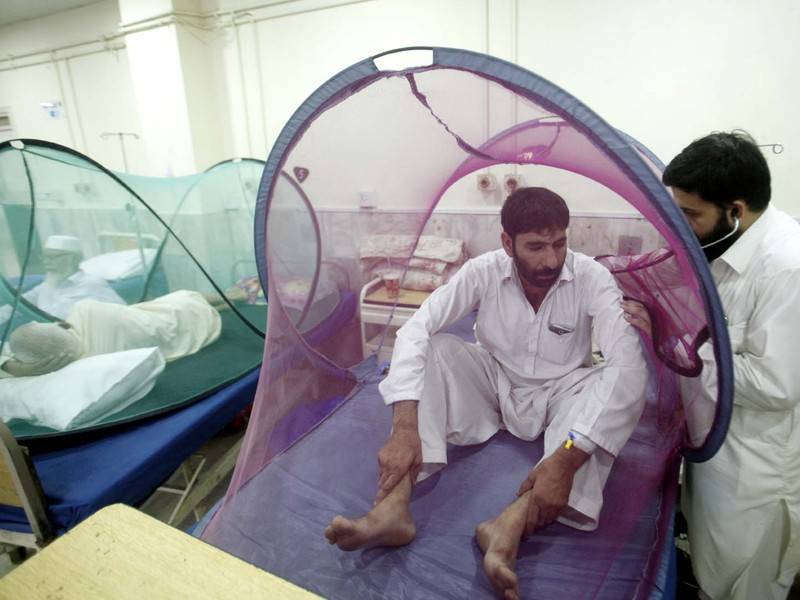 Более 10 тысяч человек заболели лихорадкой Денге в Пакистане - news.ru - Исламабад