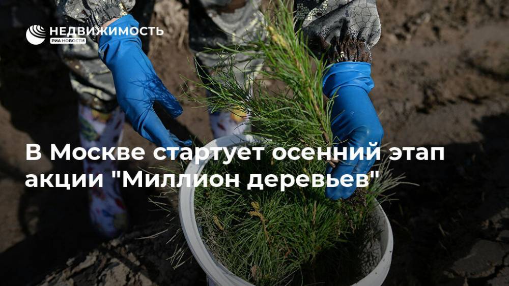 В Москве стартует осенний этап акции "Миллион деревьев" - realty.ria.ru - Москва - Москва - Благоустройство