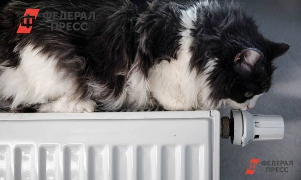 В Перми дали тепло в 98 % домов - fedpress.ru - Пермь - Прикамье