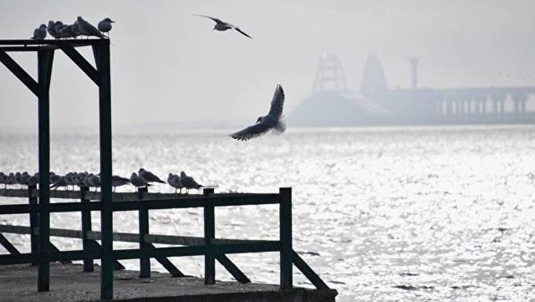 Евгений Федоров - В Госдуме прокомментировали планы Киева изменить морскую границу с РФ - newizv.ru - Россия - Украина - Киев