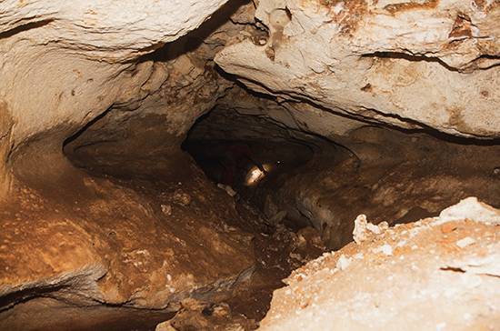 Геннадий Самохин - Учёные рассчитывают найти останки древнего человека в пещере «Таврида» в Крыму - pnp.ru - Россия - Крым