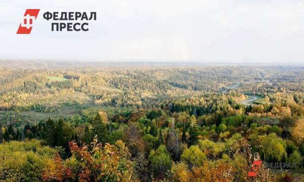 «Горная Колывань» станет самым большим нацпарком в Алтайском крае - fedpress.ru - Барнаул - Алтайский край - Экология