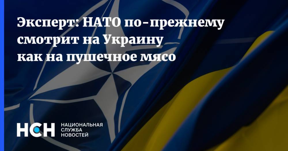 Богдан Безпалько - Эксперт: НАТО по-прежнему смотрит на Украину как на пушечное мясо - nsn.fm - Россия - Украина - Киев