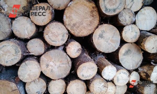 В Курганской области незаконно вырубили деревья на миллионы рублей - fedpress.ru - Курганская обл.