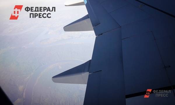 В аэропорту Москвы задержали двух авиадебоширов - fedpress.ru - Москва - Россия - Барнаул