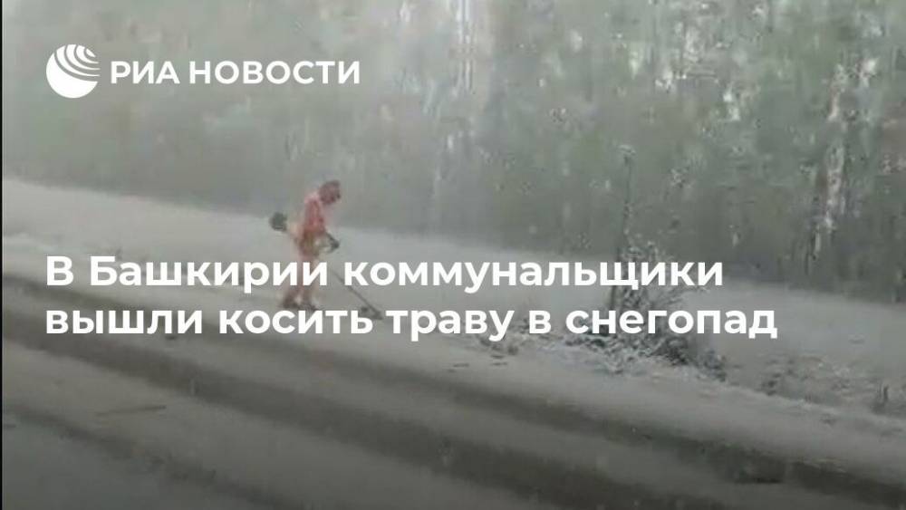 В Башкирии коммунальщики вышли косить траву в снегопад - ria.ru - Москва - Башкирия