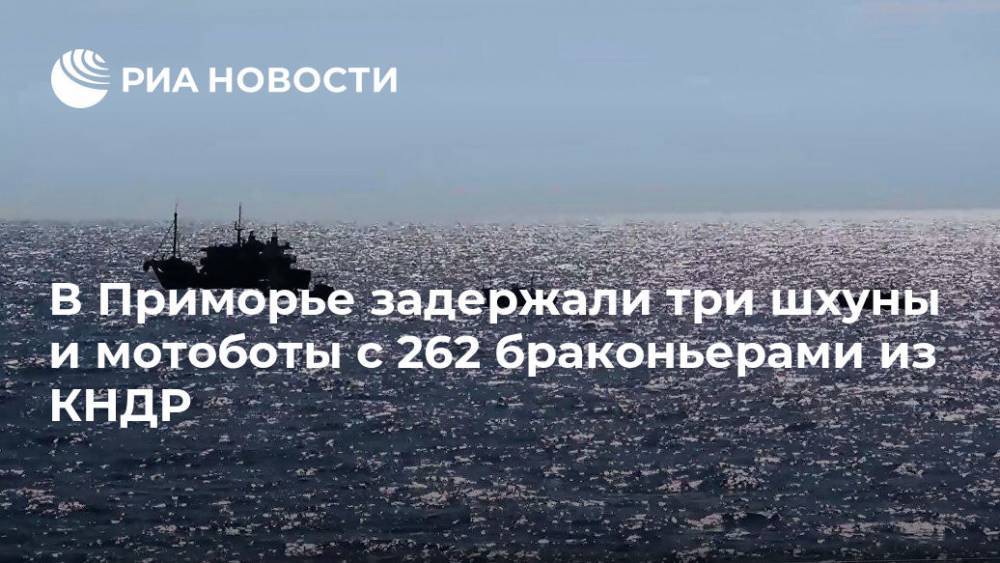 В Приморье задержали три шхуны и мотоботы с 262 браконьерами из КНДР - ria.ru - Москва - Россия - КНДР - Приморье край - Владивосток