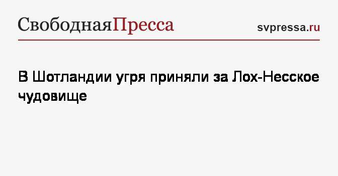 В Шотландии угря приняли за Лох-Несское чудовище - svpressa.ru