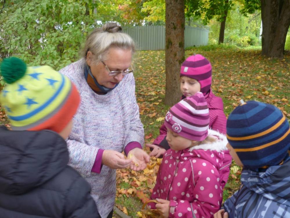 В Зеленогорске дети узнали о фауне в местном парке - wvw.daily-inform.ru - Зеленогорск