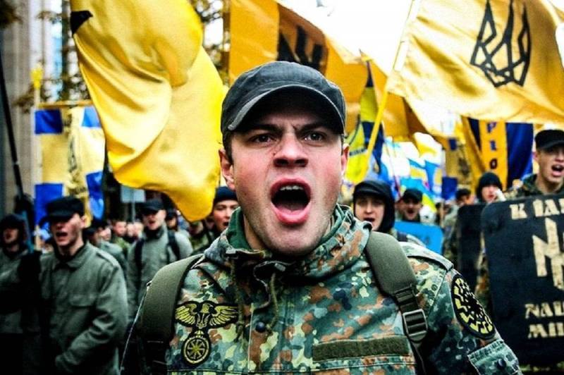 Анна Новосад - Украинские националисты забросали камнями польскую школу во Львове - topcor.ru - Украина - Львов