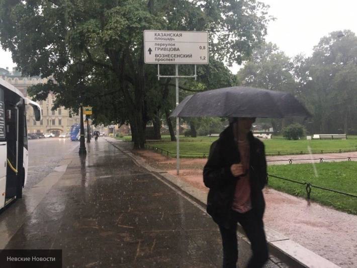 Петербуржцев ожидает дождливая погода и грозы - newinform.com - Санкт-Петербург