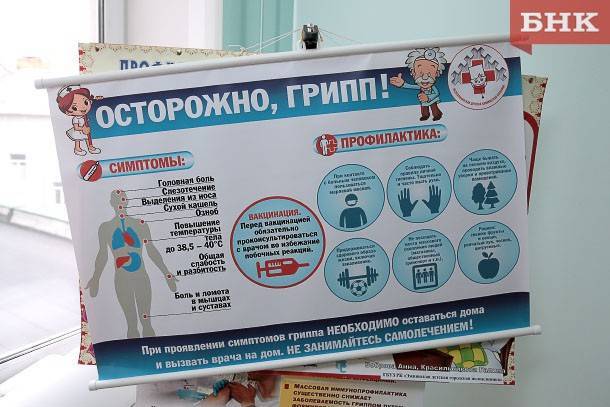 Николай Антоновский - Роспотребнадзор рассказал, как правильно бороться с гриппом - bnkomi.ru