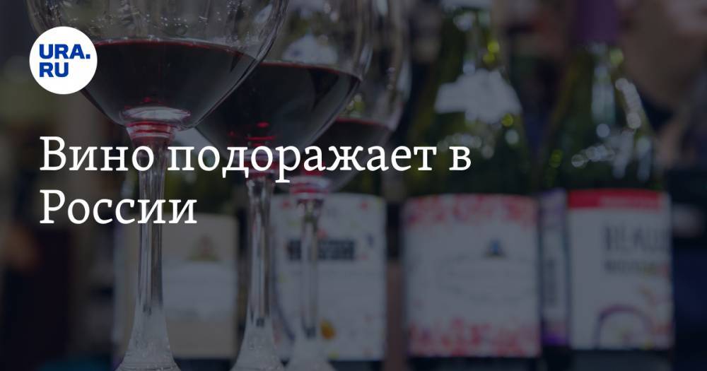 Владимир Путин - Вино подоражает в России - ura.news - Россия