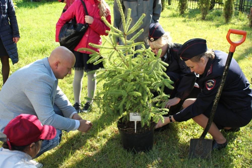 В Кировском районе полицейские присоединились к акции «Лес Победы» - wvw.daily-inform.ru - Россия - р-н Кировский