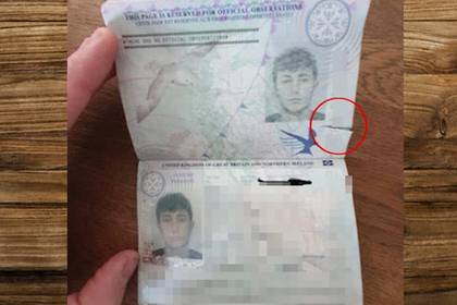 Парень лишился дорогого отпуска из-за мелкого разрыва на странице паспорта - lenta.ru - шт. Джорджия - Аруба