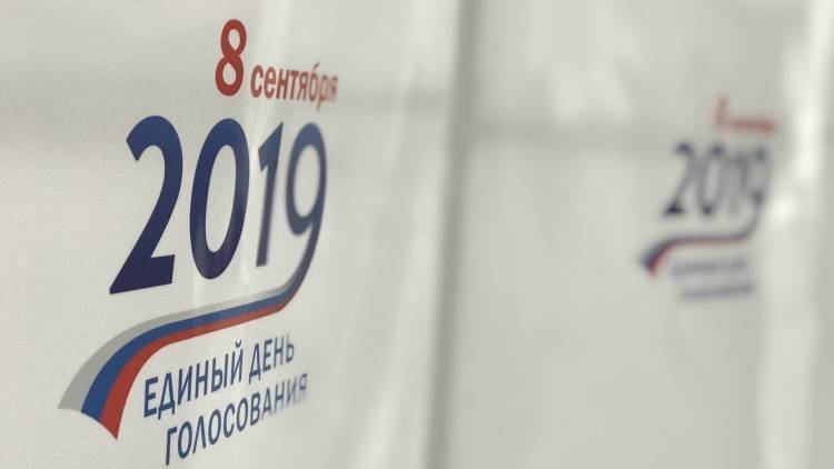 Алексей Навальный - Майя Гришина - ЦИК знает о проекте Навального «Умное голосование» - polit.info
