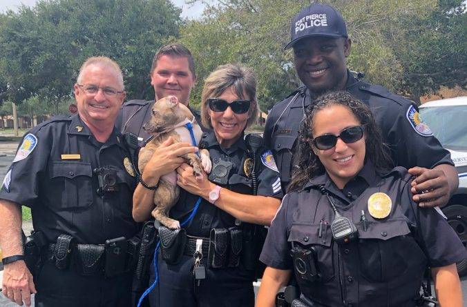 Полицейский из Флориды подарил новый дом щенку, который остался совсем один перед ураганом Дориан - usa.one - шт.Флорида