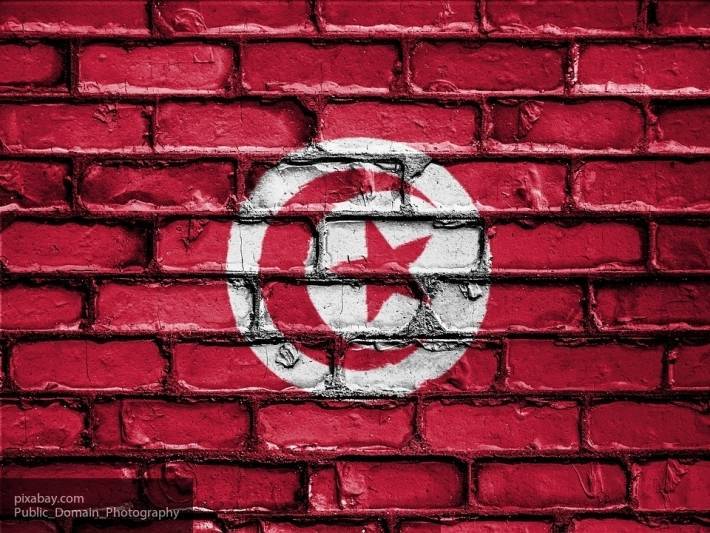 Эксперт считает, что досрочные выборы не помогут Тунису избежать кризиса - newinform.com - Франция - Париж - Тунис - Тунисская Респ.